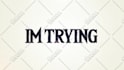 make amazing lyric video with custom design