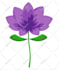 create custom json lottie animation for website or app