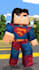 create a custom minecraft animation shorts for you