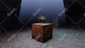 do a professional level minecraft animation
