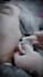 do professional video editing, motion graphics, and animations