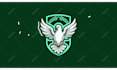 design badge or mascot logo for your sport team
