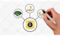 create a whiteboard animation doodle video