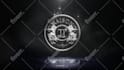 create a professional 3d logo animation intro I cinematic reveal