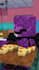 create viral minecraft shorts animation using mine imator