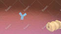 create 2d or 3d medical animations for you
