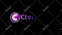 create a professional dynamic custom 2d logo animation