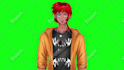 design vtuber and live2d rigging vbridger with high quality