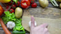 do this cooking video opener intro logo animation for you