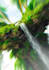 design animated motion flyers and static flyers, posters
