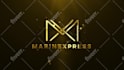 create luxury golden and silver intro logo animation