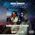 create music promo video for social media 3 in 1