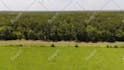 do a real estate drone video editing with motion graphics