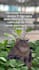 create funny viral memes from proven meme page owner