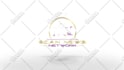 create 50 exceptional logo animation intro video