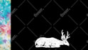 create  traditional 2d animation hand drawn  animations