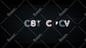 create clean and custom logo animation, youtube intro, outro