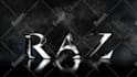 create premium custom 2d and 3d logo animation and video intro