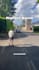blur face, object, license plates, background from video