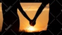 create gripping mystery and thriller book trailer or novel