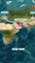 animate  custom short and map videos with motion graphics