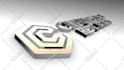 create a professional 3d logo animation intro video in 24 hours