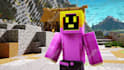 do a professional level minecraft animation