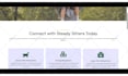 design and develop wordpress website and ecommerce store
