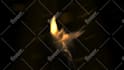 create 3 amazing phoenix fire logo animation intro