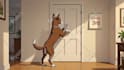 do 2d cartoon animation video and character animation