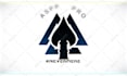 do custom animation style for your logo