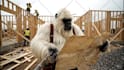 create gorilla and yeti vlogging videos, ai bigfoot vlog