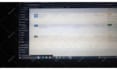 wordpress website design with custom UI UX design