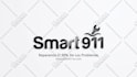 do professional logo animation fast and stylish designs