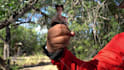 do muzzle flashes, bullets hits and blood vfx