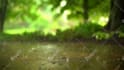 create guided meditation video with your voice