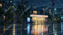 create cozy rain ambient video with natural sounds relaxing rain video