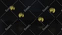 edit motion array, envato template on after effects edit video, custom animation