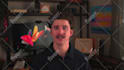 be your vsl, talking head, ugc, ads video editor
