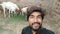 wish happy birthday and sing song with my goats
