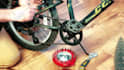 do professional video editing and motion graphics