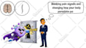 create doodle whiteboard animation video