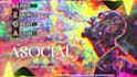 create a loop music visualiser for your music