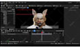 add realistic hair groom to unreal engine or 3d game model