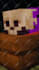 do animation minecraft for you