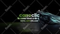 create costume amazing intro animation racing and car logo