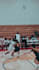 create a college basketball highlight edit and recruitment video