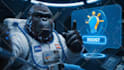 create gorilla and yeti vlogging videos, ai bigfoot vlog