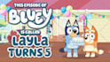 design a personalized birthday greet from bluey