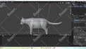 do any 3d animal model 3d animation 3d creature 3d character animation cgi vfx